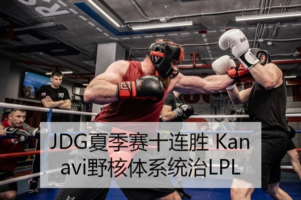 JDG夏季赛十连胜 Kanavi野核体系统治LPL